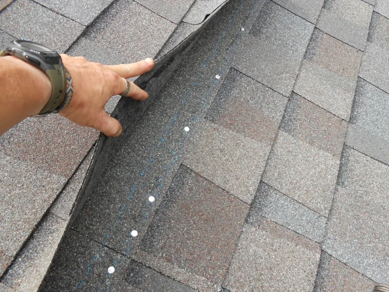Attic water stain inspection showing leak tracing along rafters